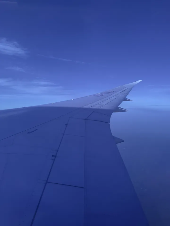 Plane Wing